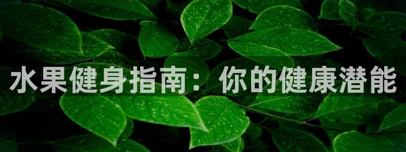 QY球友会体育官方平台